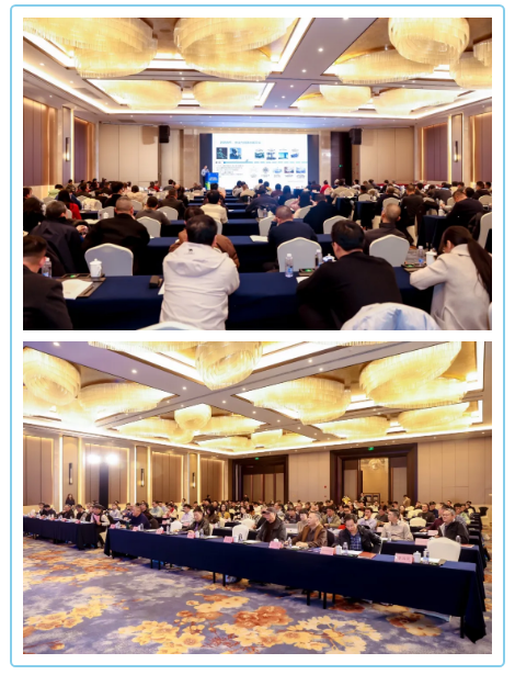 1766978909544443.png 920aed6b-1e02-4fd5-827c-0e266666d879.png